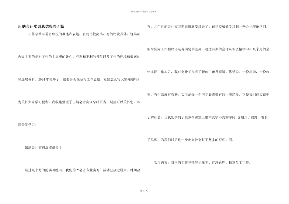 出纳会计实训总结报告5篇_第1页
