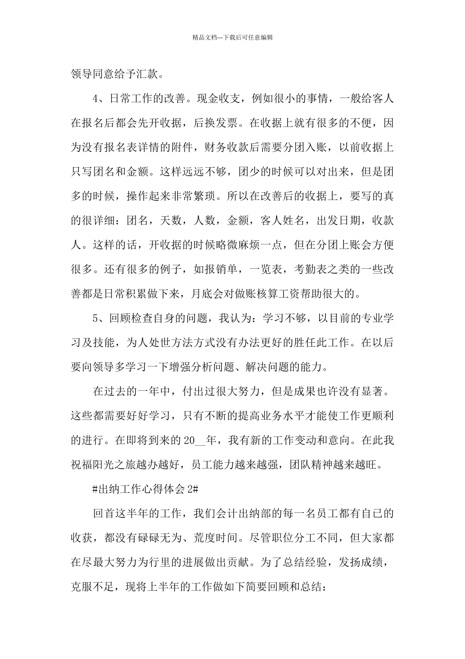 出纳工作心得总结5篇范文_第2页