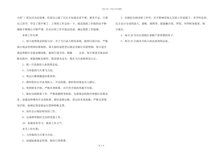 出纳工作总结和计划_第3页