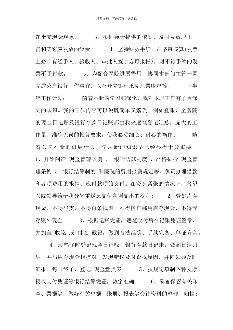 出纳工作计划模板汇总四篇_第2页