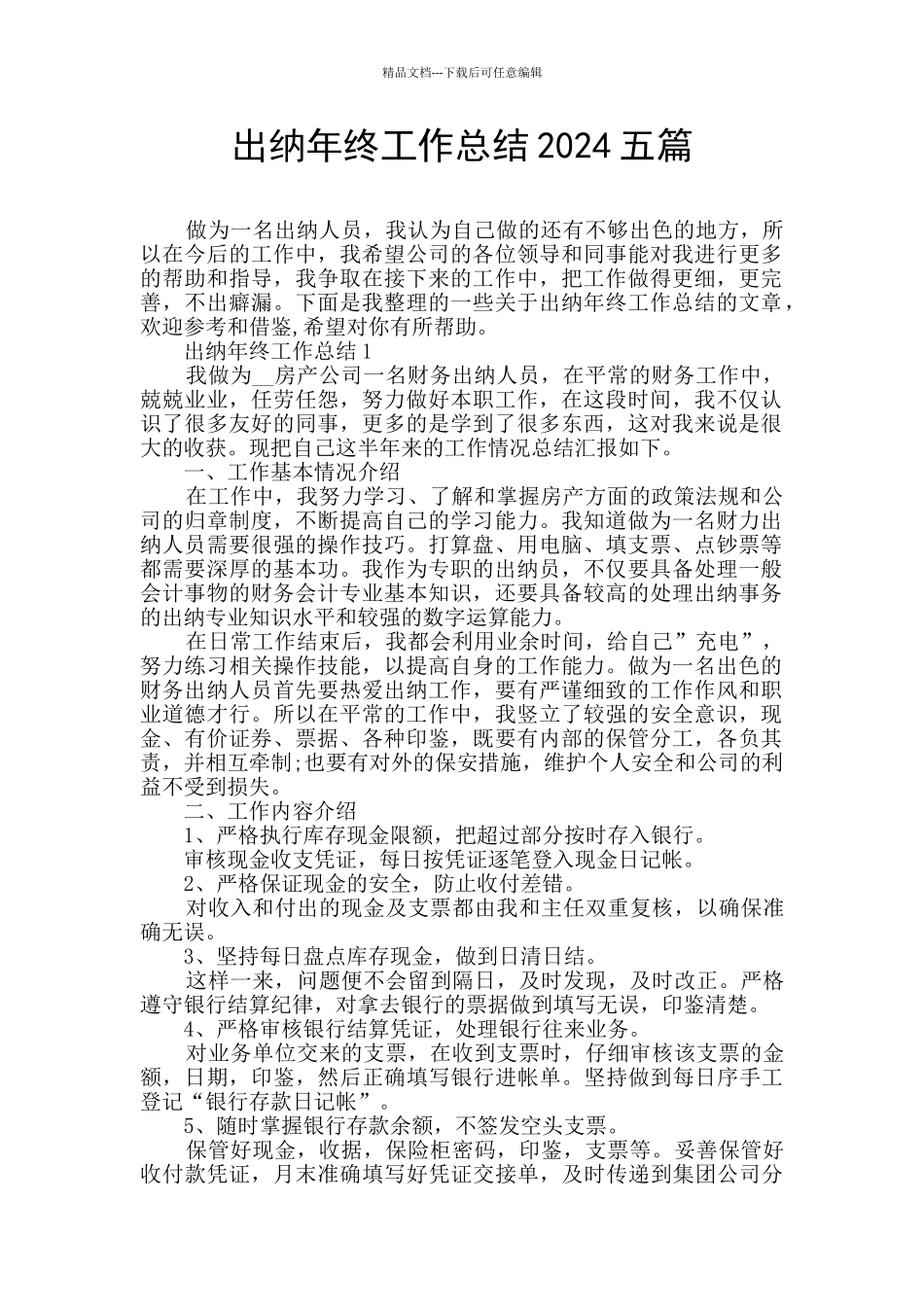 出纳年终工作总结2024五篇_第1页