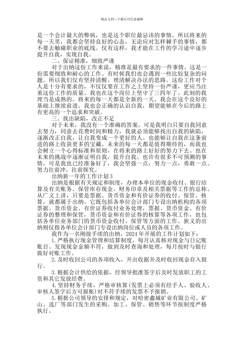 出纳新一年的工作计划2024年_第2页