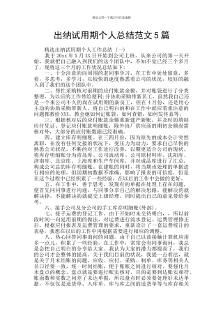 出纳试用期个人总结范文5篇