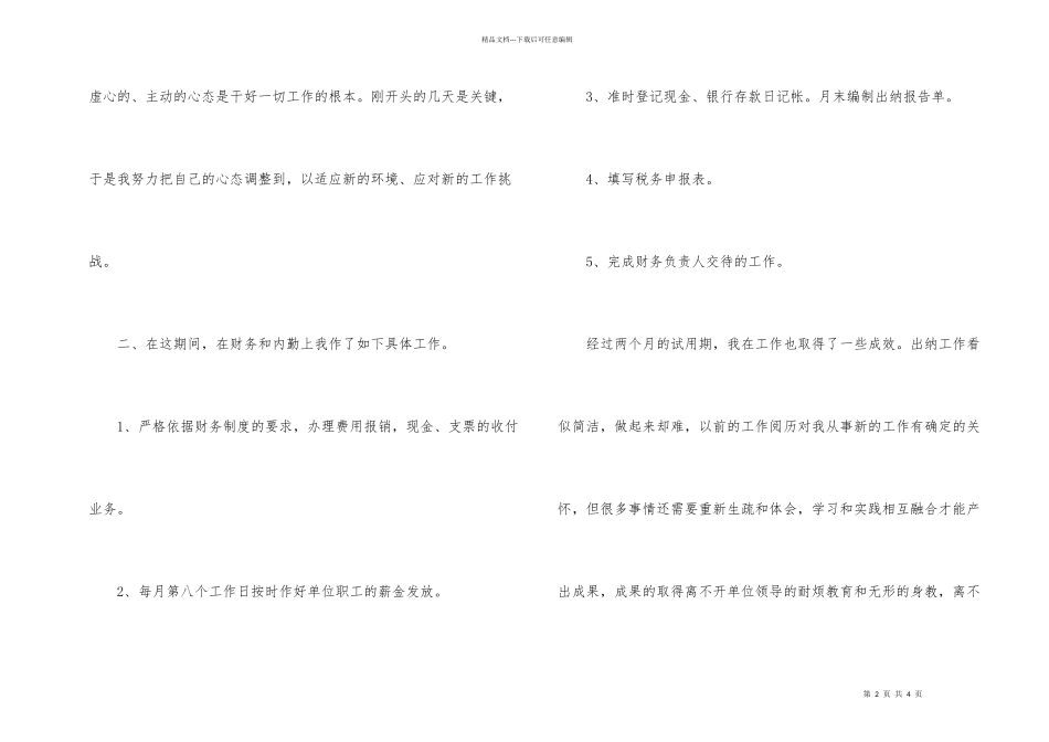 出纳试用期个人年度工作总结_第2页