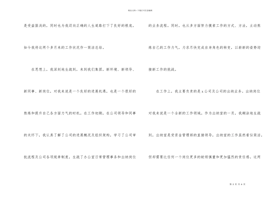 出纳试用期转正个人工作总结10篇_第2页