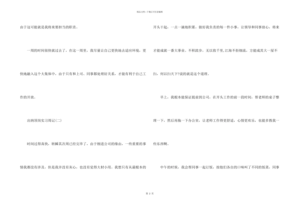 出纳顶岗实习周记_第2页