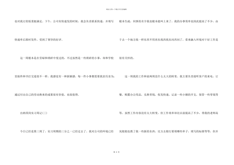 出纳顶岗实习周记_第3页