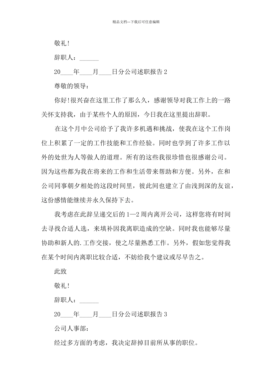 分公司个人工作述职报告_第2页