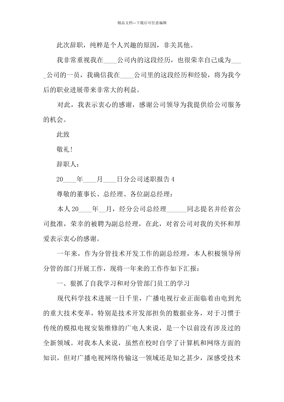 分公司个人工作述职报告_第3页