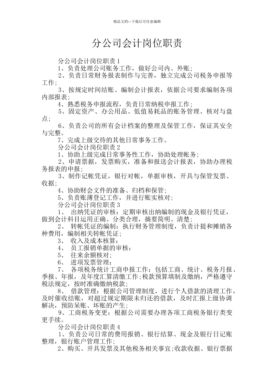 分公司会计岗位职责_第1页