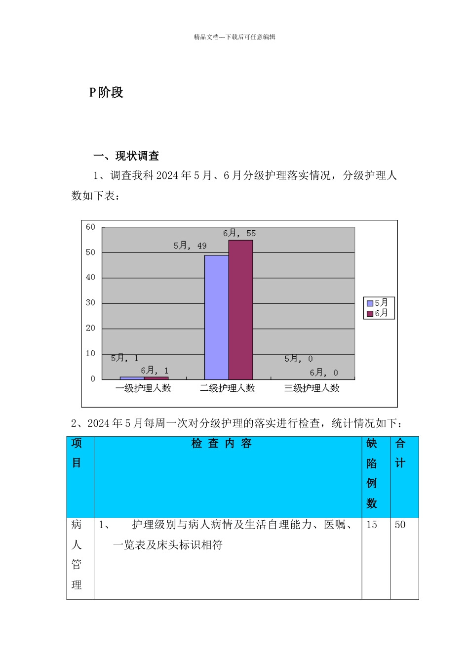 分级护理PDCA修改版_第2页