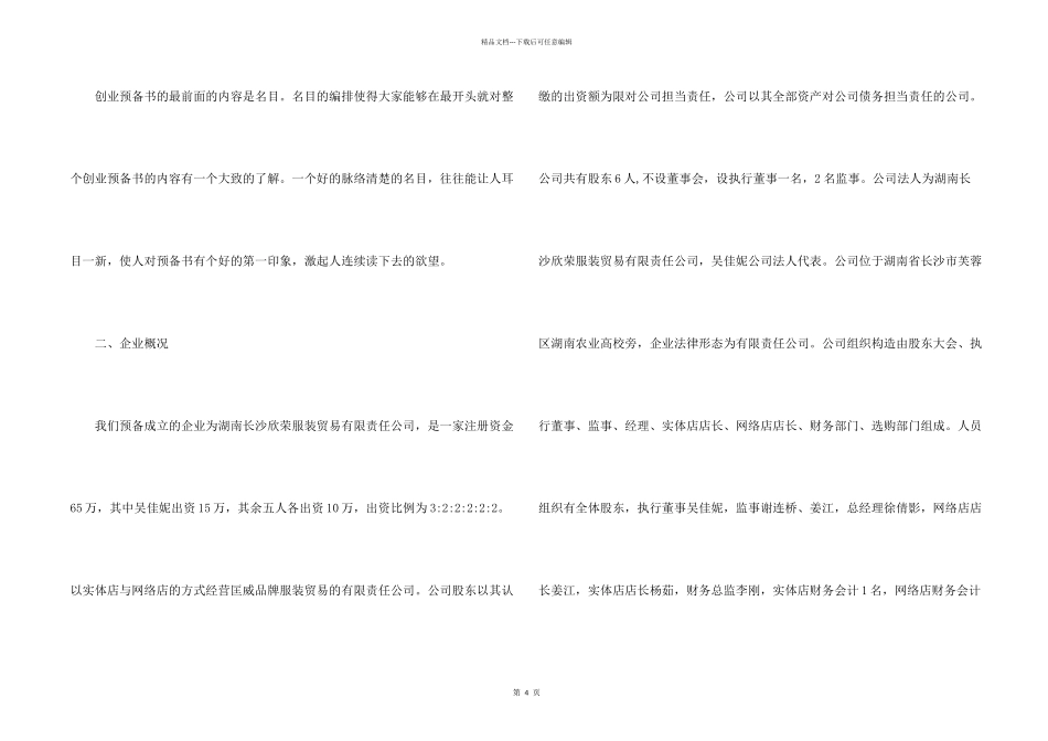 创业计划总结_第2页