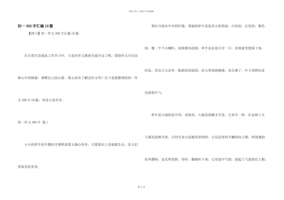 初一300字汇编10篇_第1页