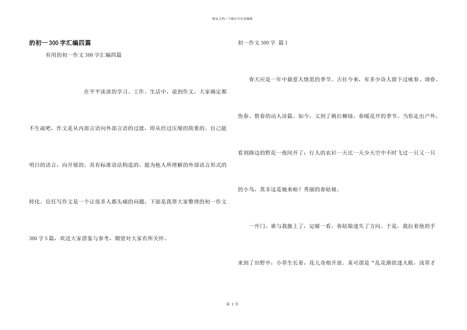 初一300字汇编四篇_第1页