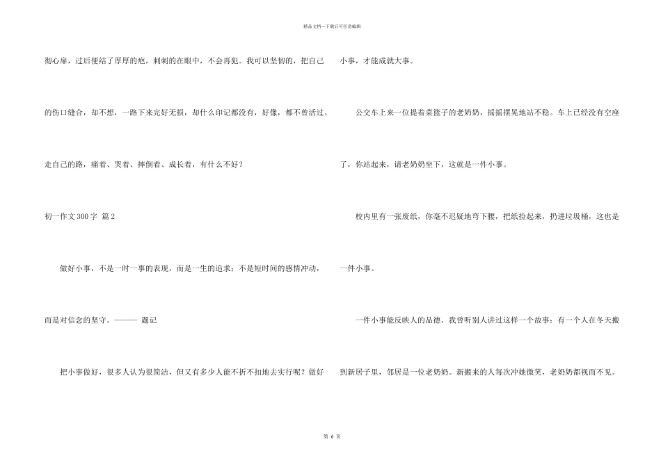 初一300字锦集9篇_第2页