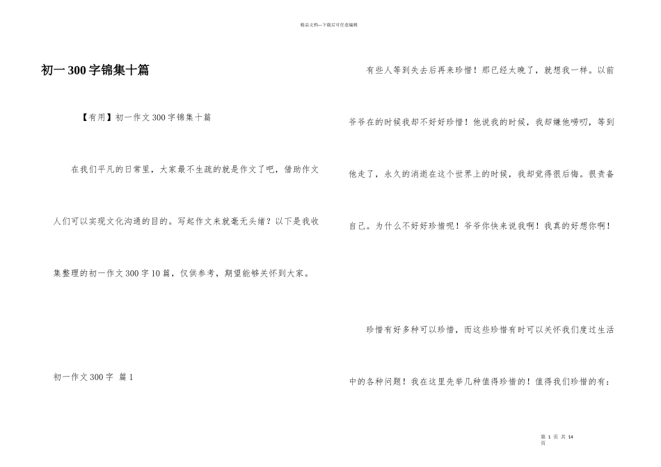 初一300字锦集十篇_第1页