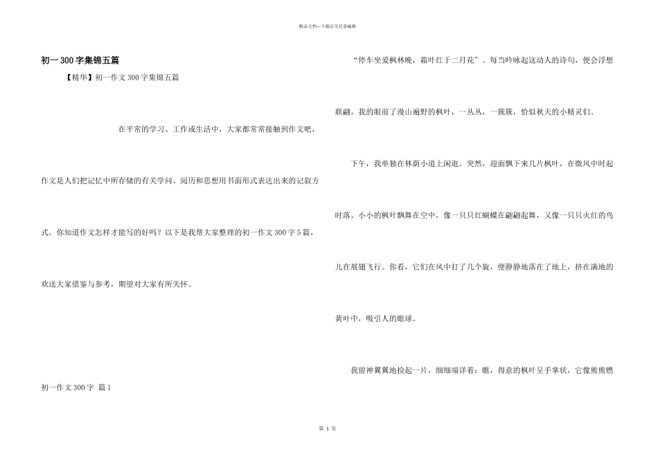 初一300字集锦五篇_第1页