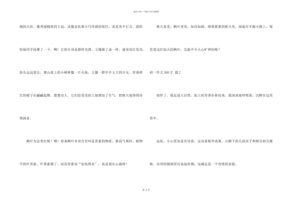 初一300字集锦五篇_第2页