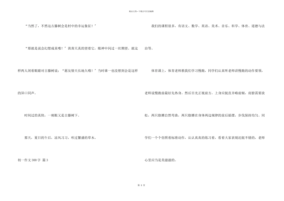 初一300字集合八篇_第3页