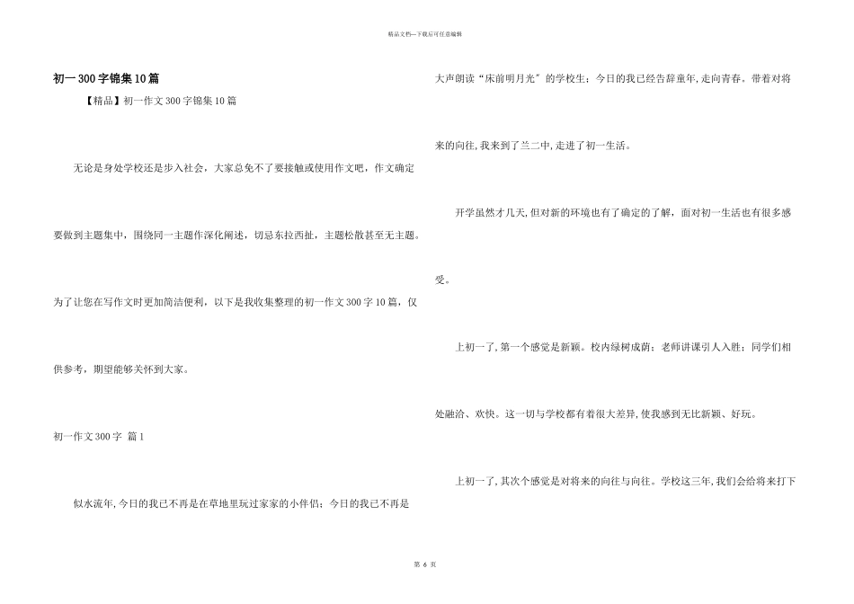 初一300字锦集10篇_第1页