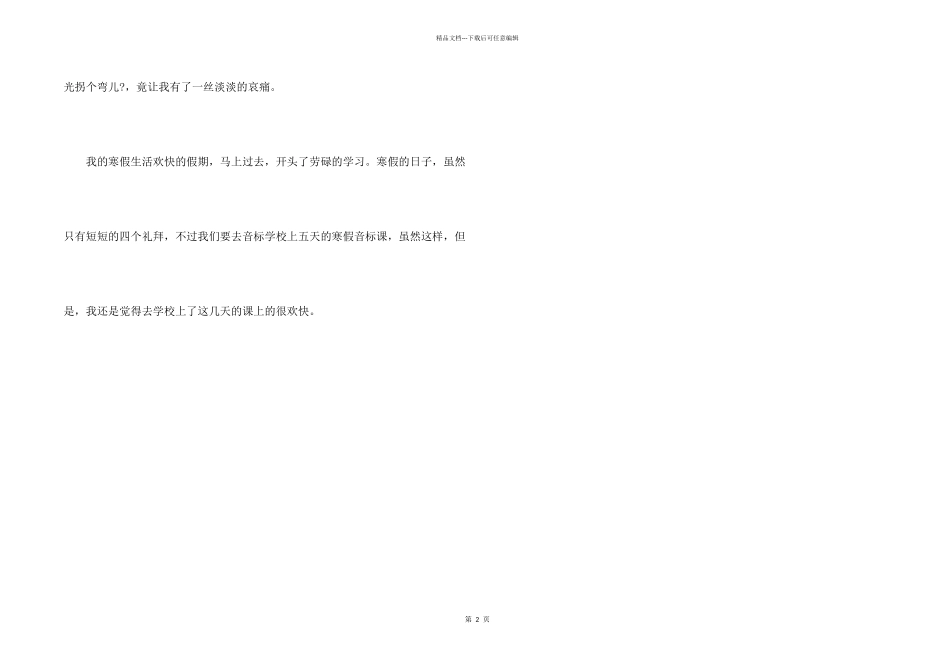 初一寒假随笔_第2页