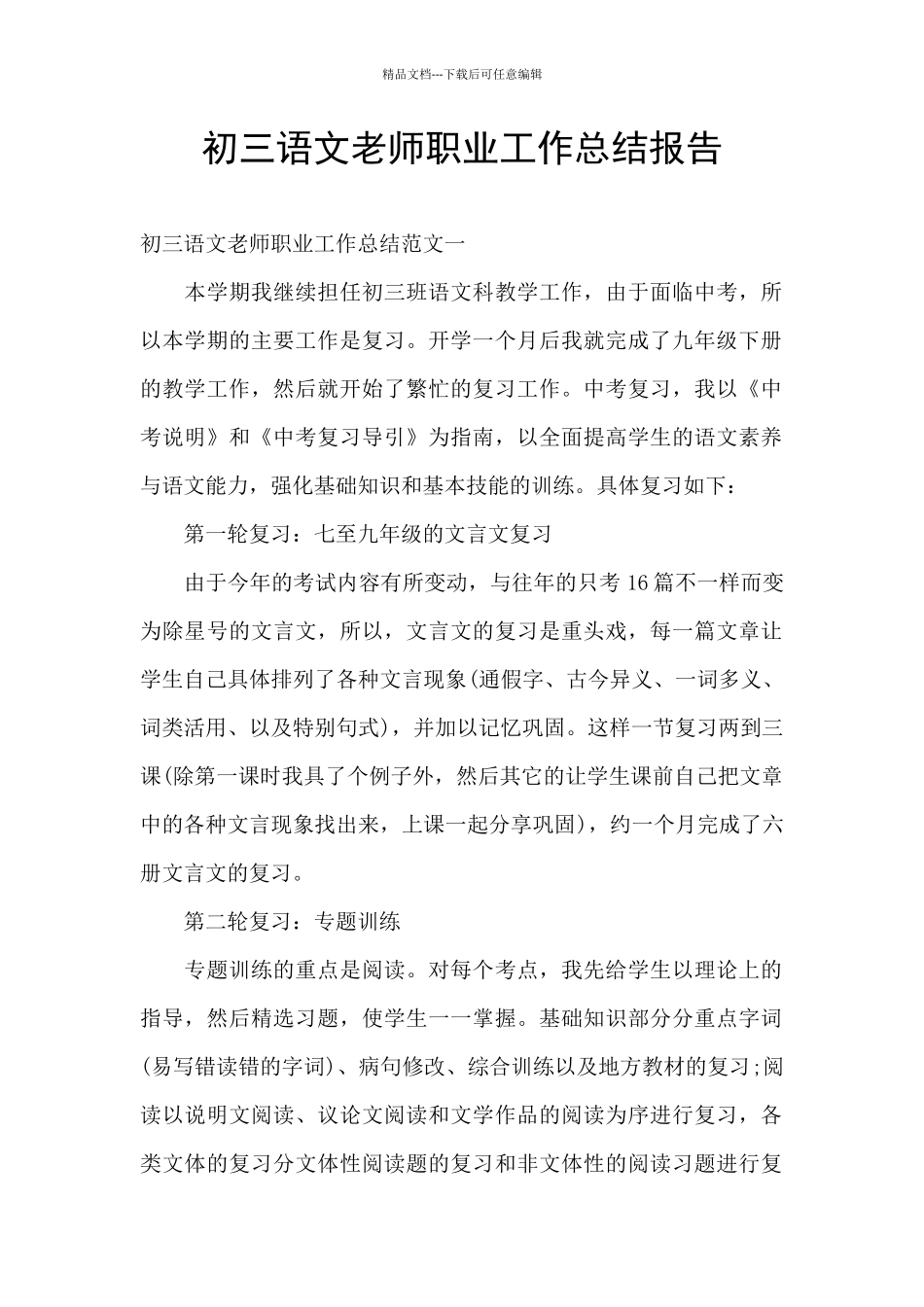 初三语文教师职业工作总结报告_第1页