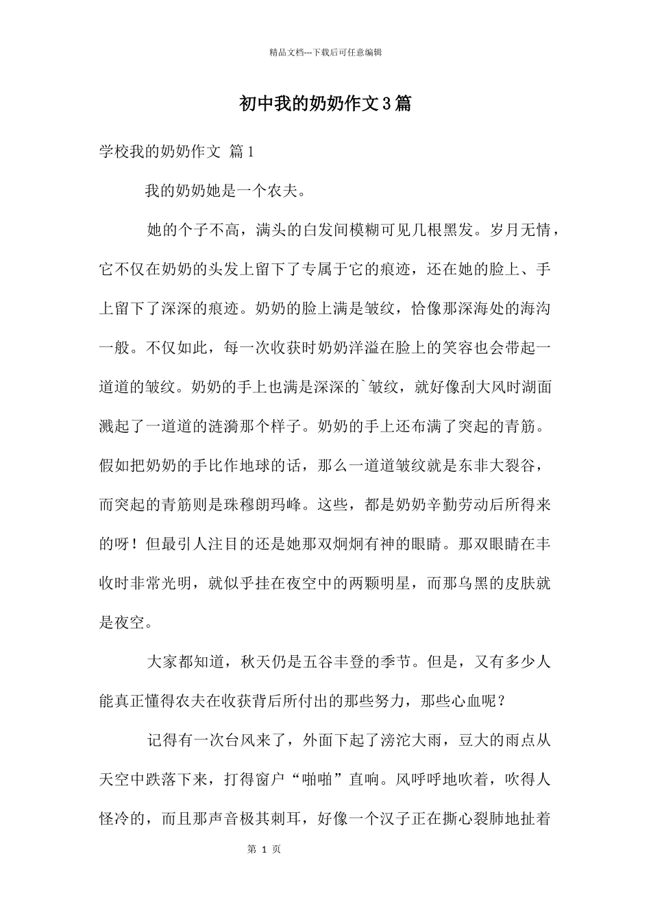 初中我的奶奶作文3篇_第1页