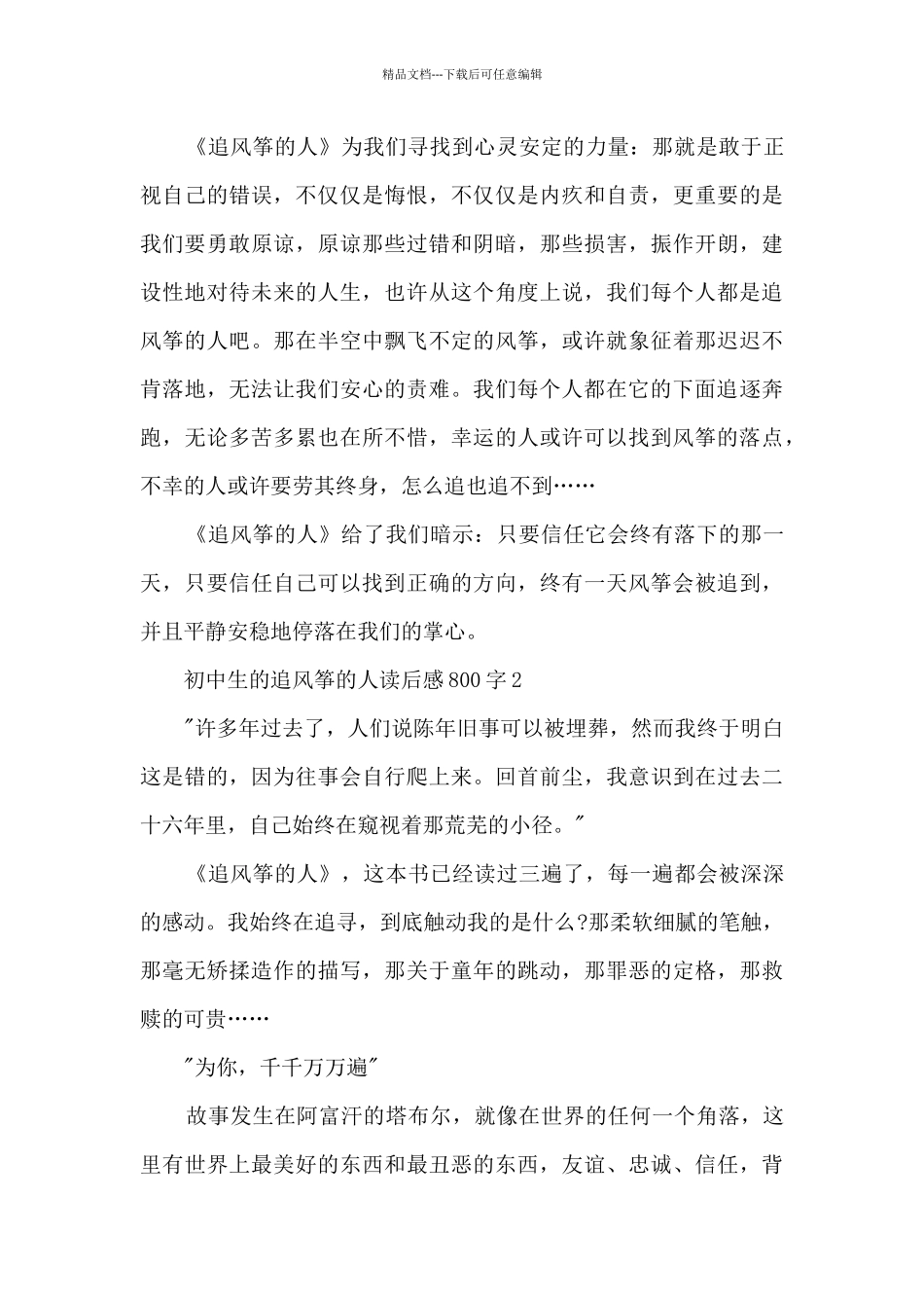 初中生的追风筝的人读后感800字范文_第2页