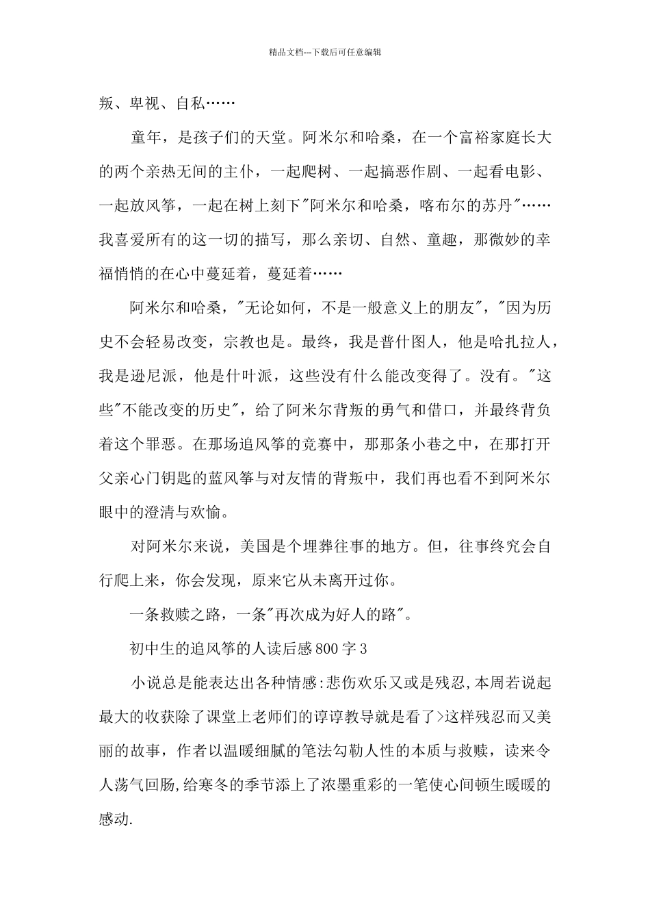 初中生的追风筝的人读后感800字范文_第3页