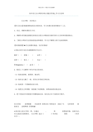 初中语文丑小鸭同步练习题