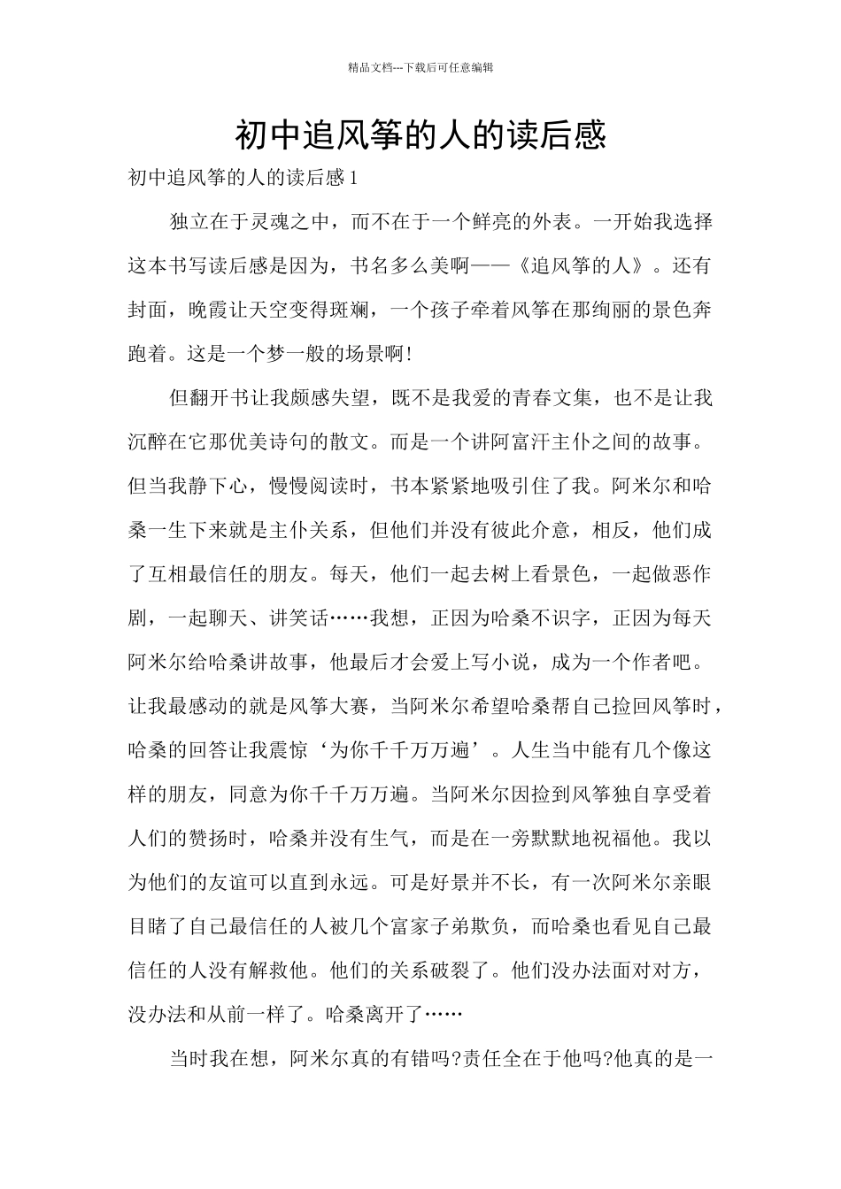 初中追风筝的人的读后感_第1页