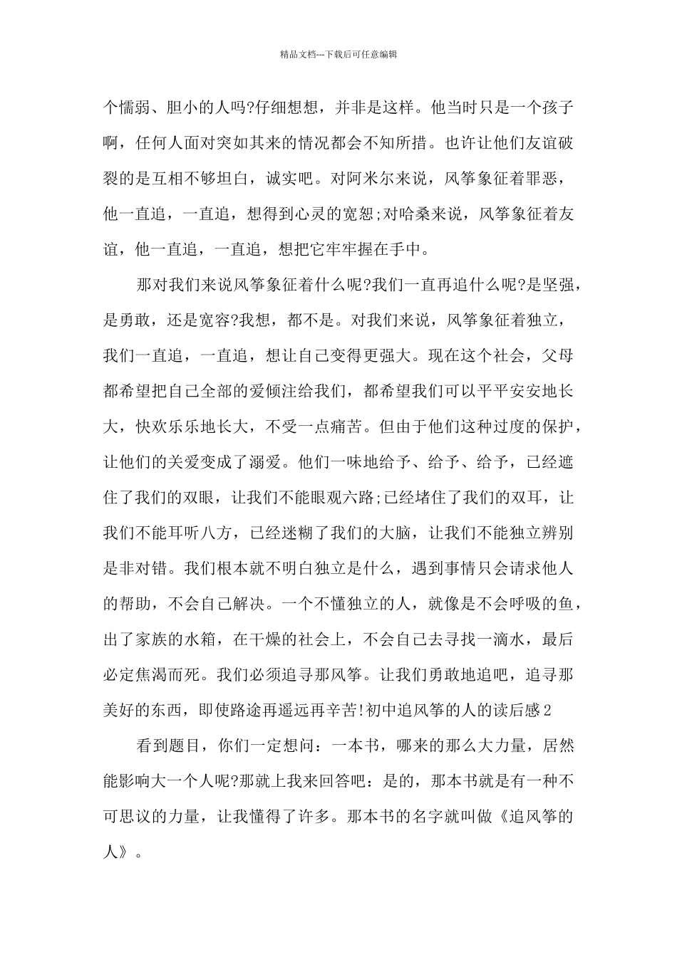 初中追风筝的人的读后感_第2页