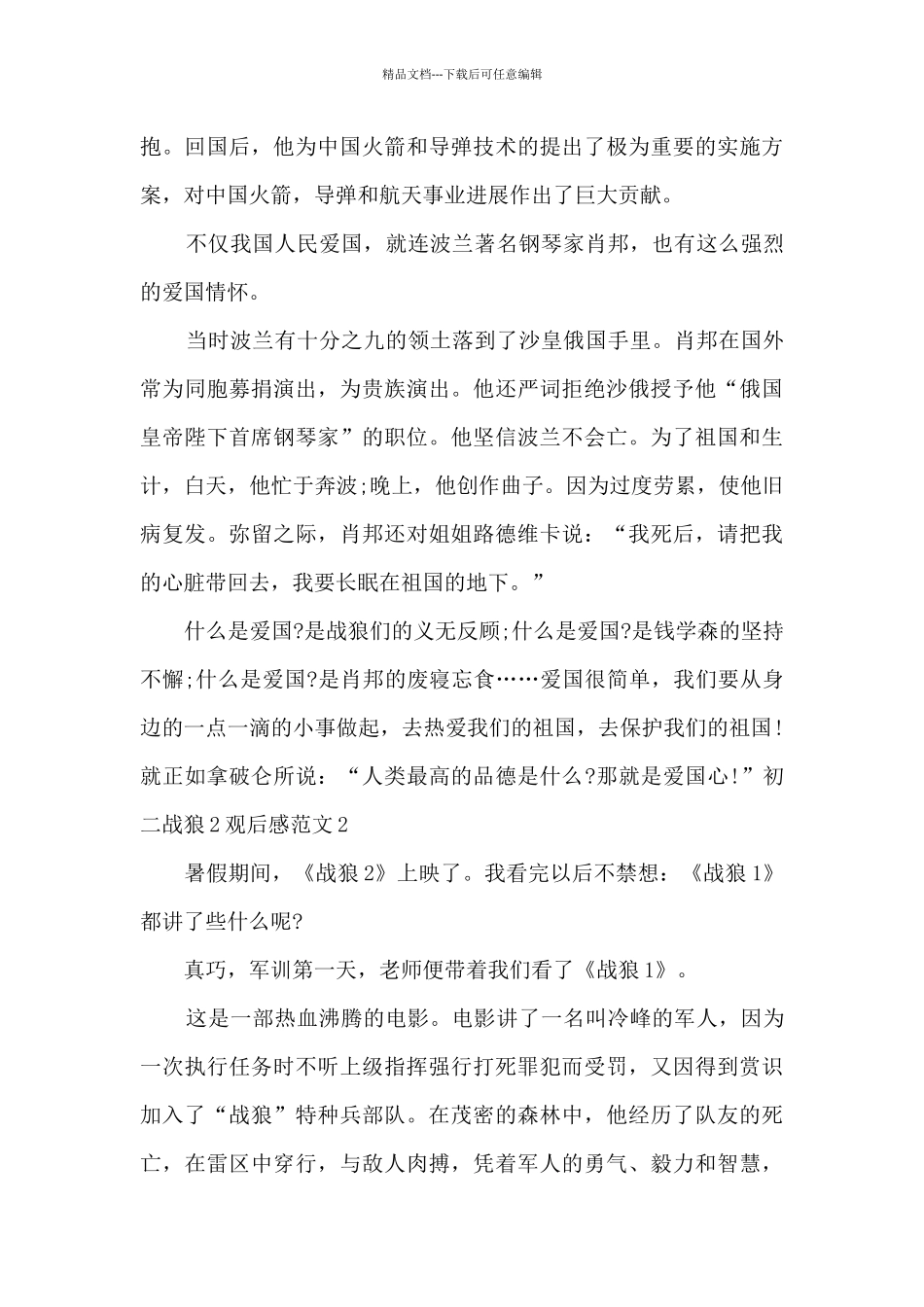 初二战狼2观后感_第2页