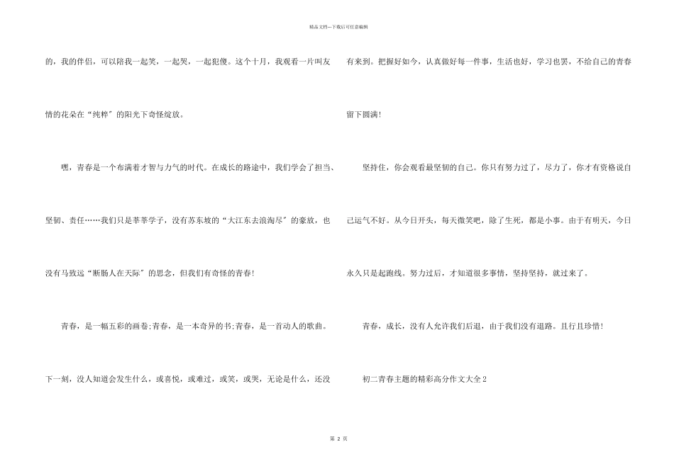 初二青春主题的精彩高分大全_第2页