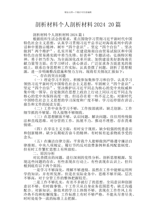 剖析材料个人剖析材料2024