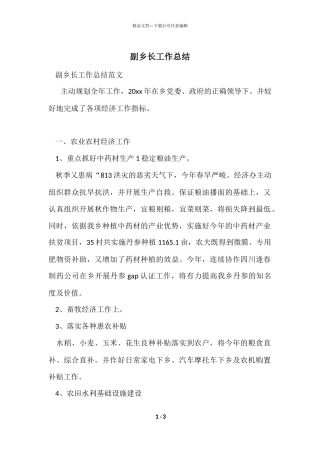 副乡长工作总结