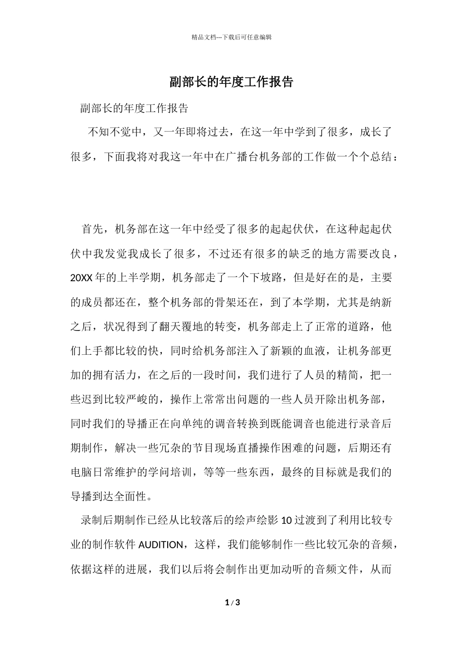 副部长的年度工作报告_第1页