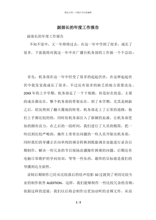 副部长的年度工作报告