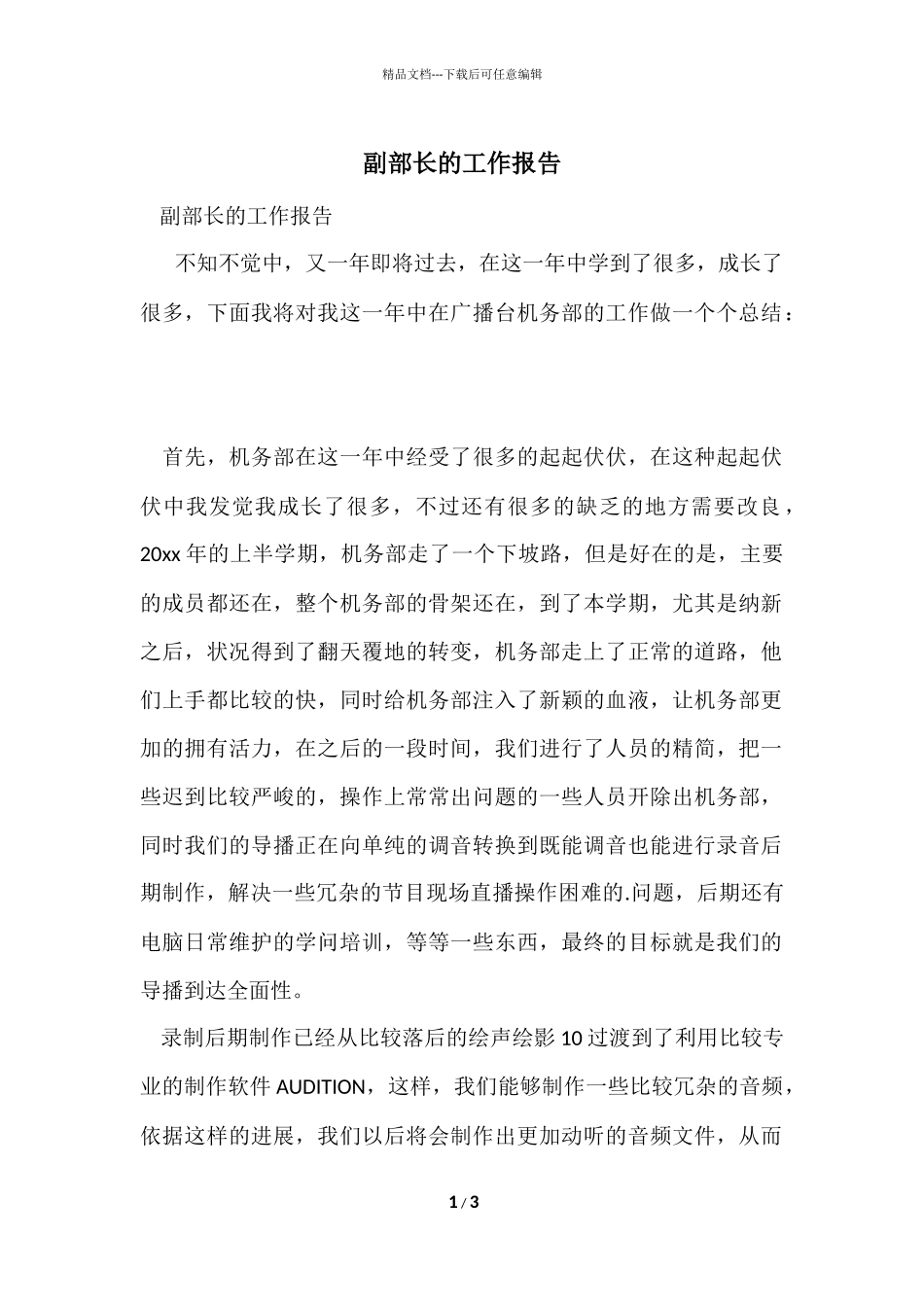 副部长的工作报告_第1页