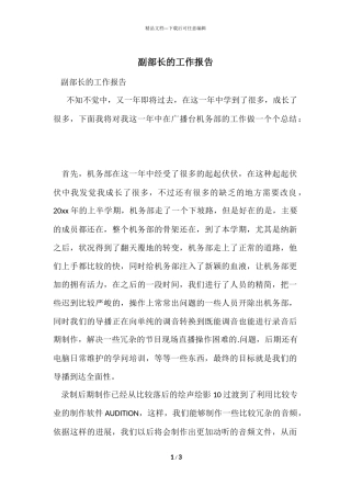 副部长的工作报告