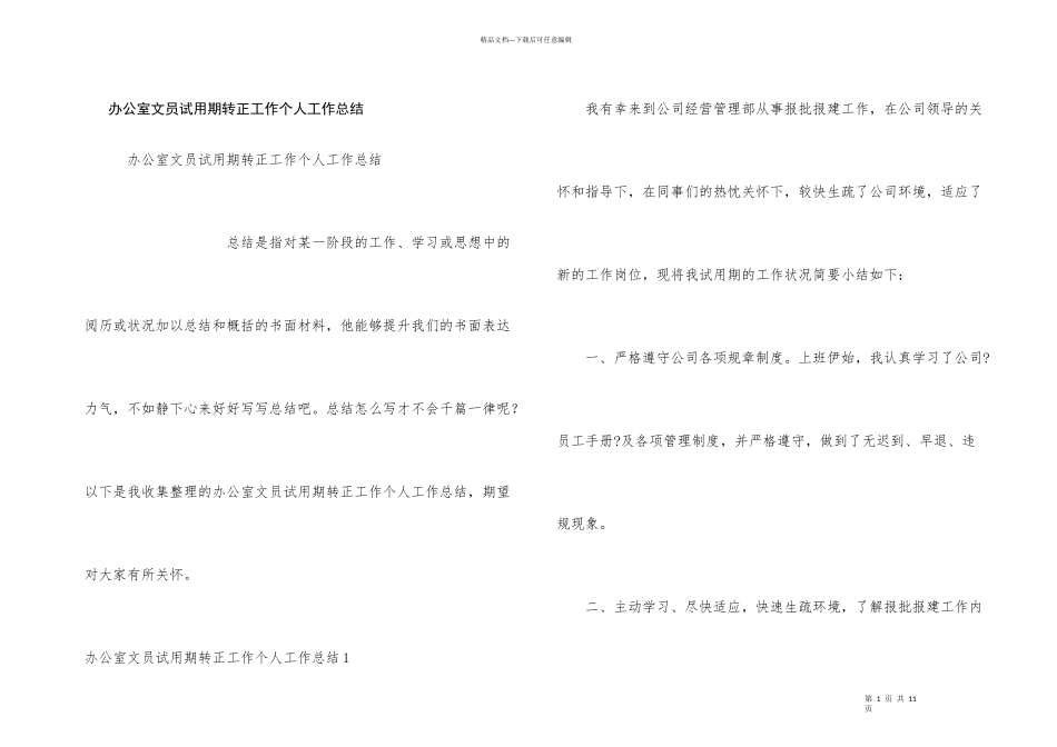 办公室文员试用期转正工作个人工作总结_第1页
