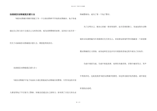 动画疯狂动物城观后感大全