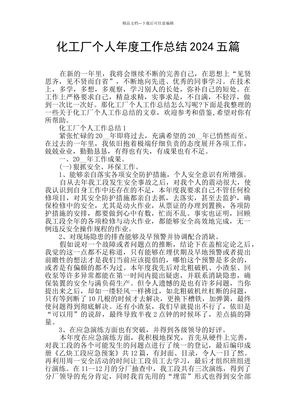 化工厂个人年度工作总结2024五篇_第1页