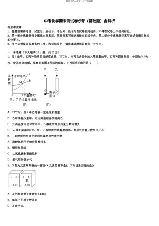北京十一校中考押题化学预测卷含解析