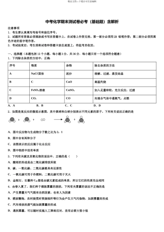 北京市人大附中中考二模化学试题含解析