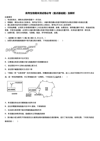 北京市第十九中高考压轴卷生物试卷含解析