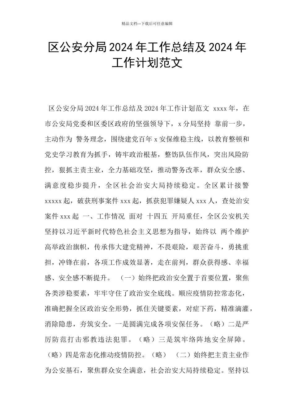 区公安分局2024年工作总结及2024年工作计划范文_第1页