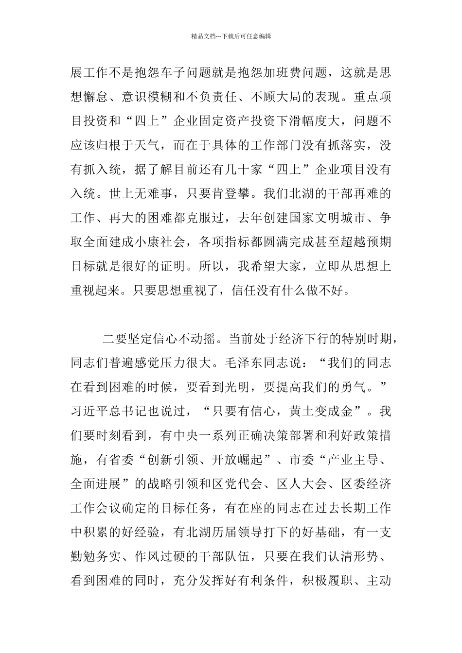 区委书记2024年全区政务工作会议发言稿_第2页