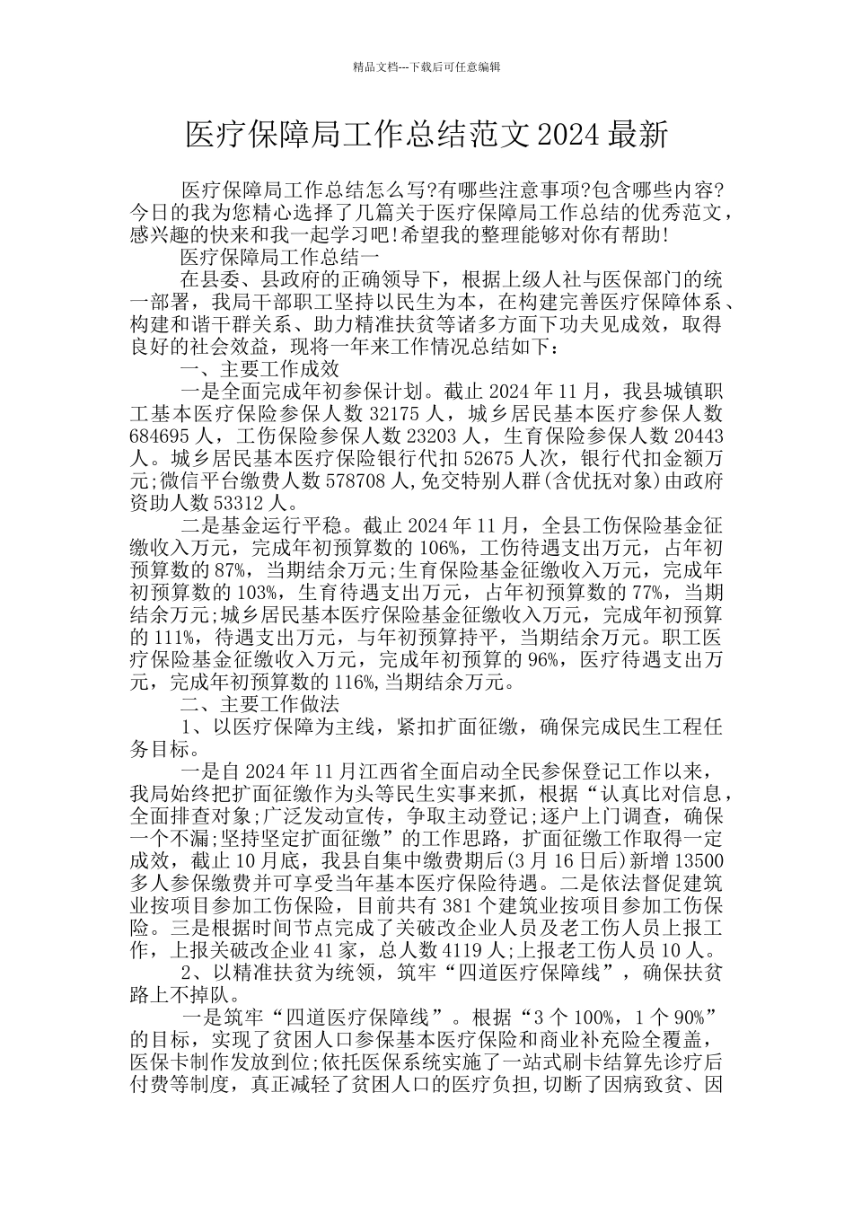 医疗保障局工作总结范文2024最新_第1页