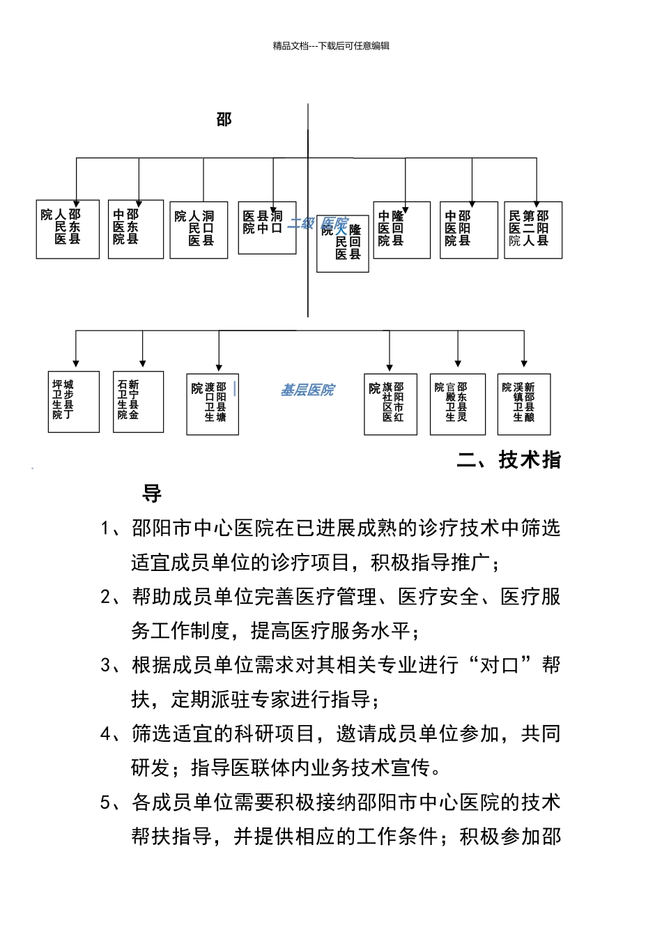 医联体建设实施发展方案_第2页